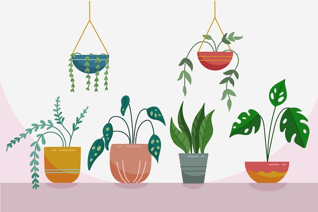 Collection De Plantes D'intérieur Dessinées à La Main