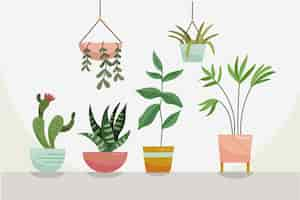 Vecteur gratuit collection de plantes d'intérieur dessinées à la main