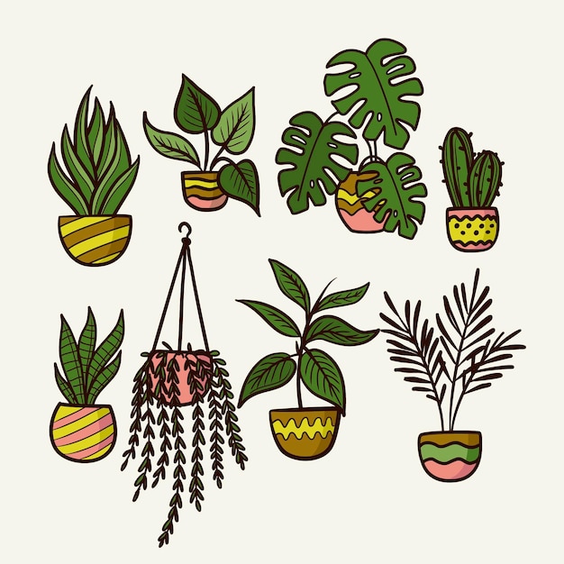 Collection de plantes d'intérieur dessinées à la main