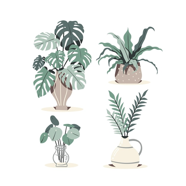 Collection de plantes d'intérieur dessinées à la main