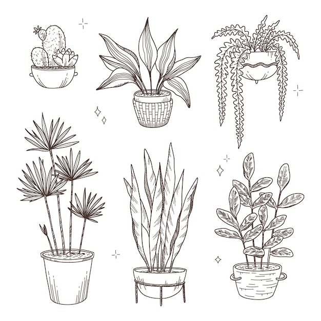 Vecteur gratuit collection de plantes d'intérieur dessinées à la main