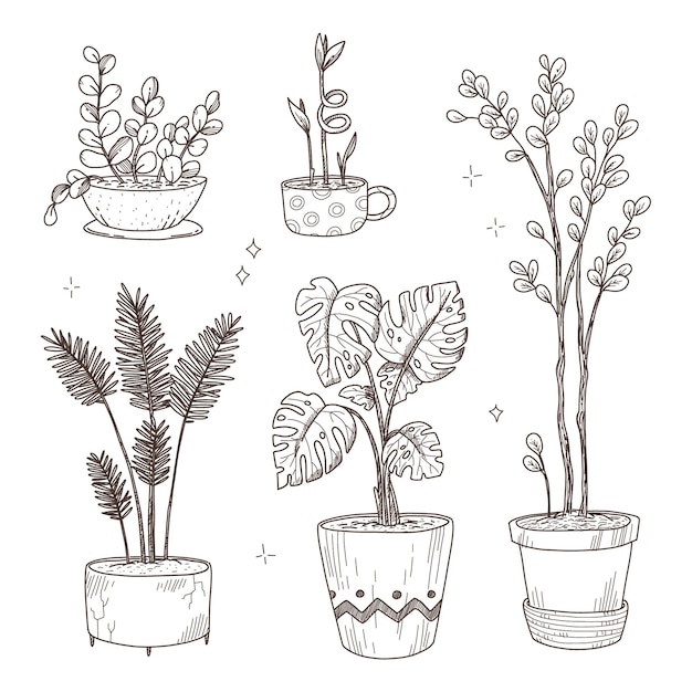 Vecteur gratuit collection de plantes d'intérieur dessinées à la main