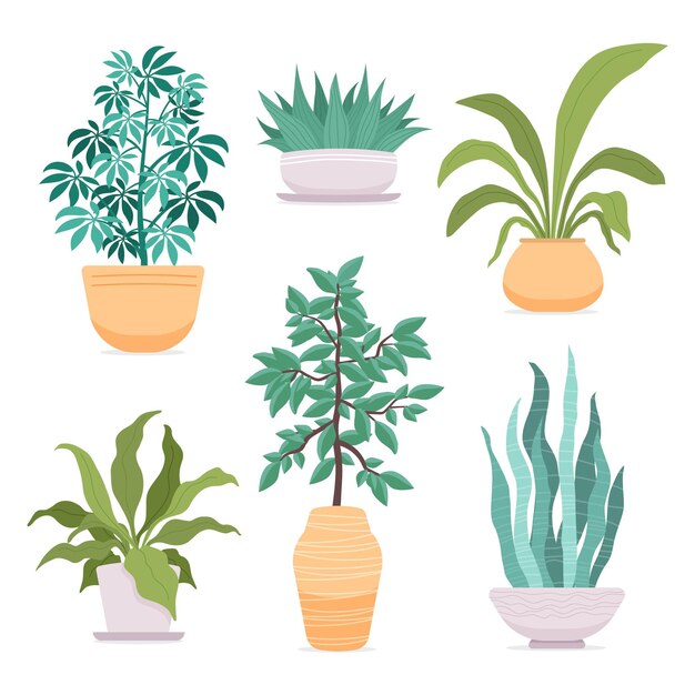 Collection de plantes d'intérieur dessinés à la main illustrée