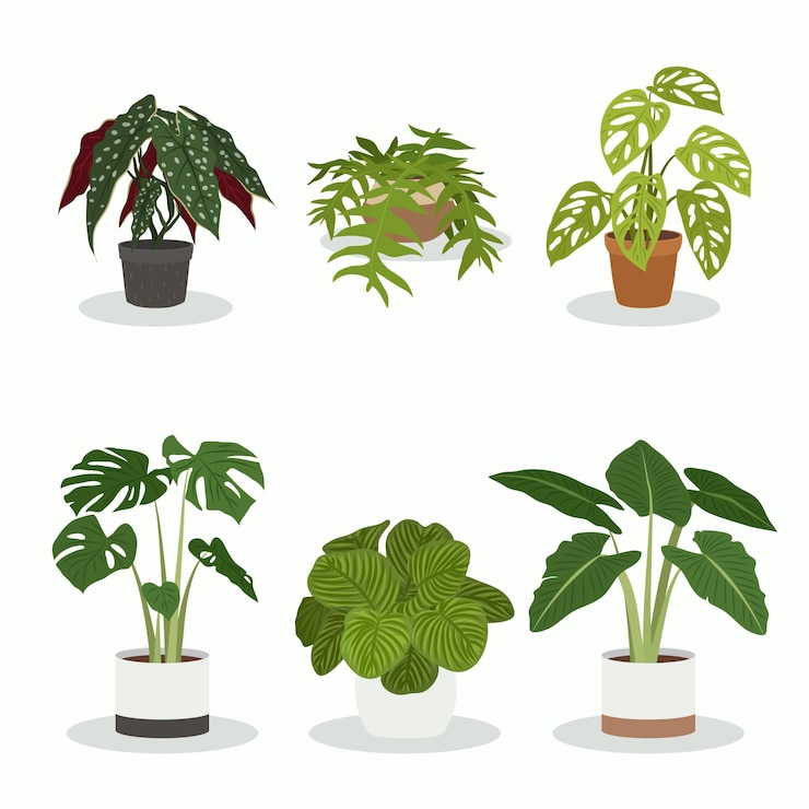Vecteur gratuit collection de plantes d'intérieur plat bio