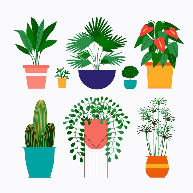 Collection de plantes d'intérieur plat bio
