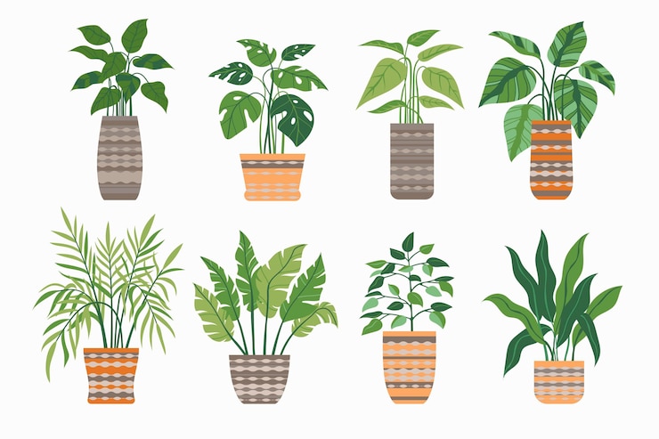 Vecteur gratuit collection de plantes d'intérieur plat bio