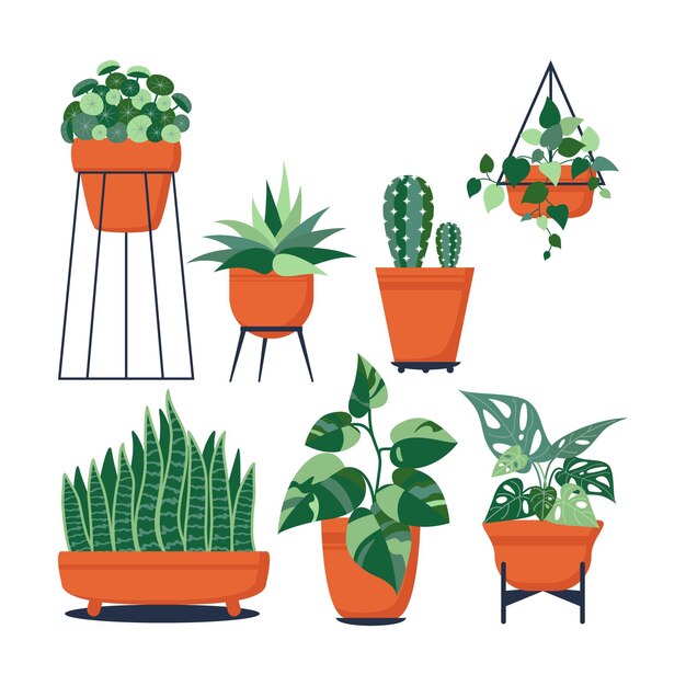 Collection de plantes d'intérieur plates