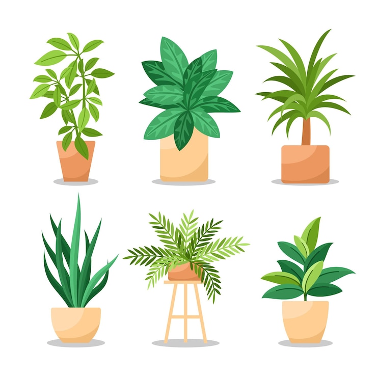 Vecteur gratuit collection de plantes d'intérieur plates