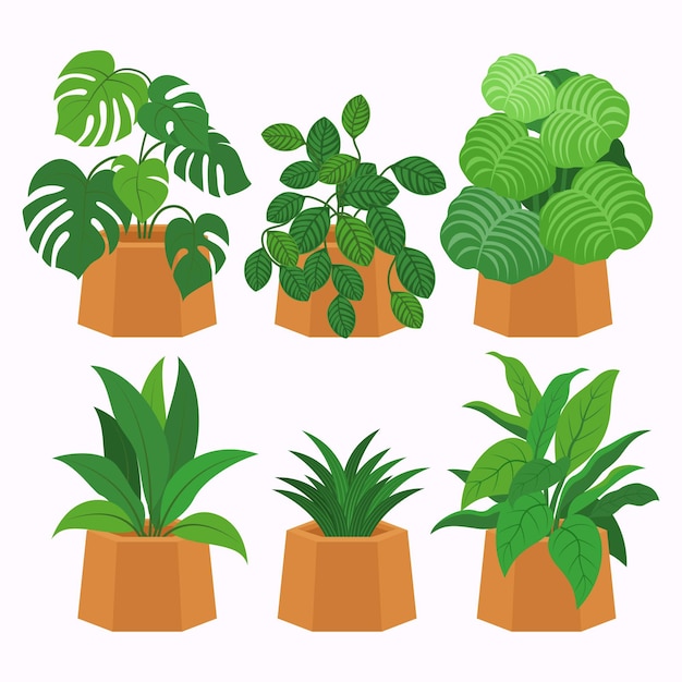 Vecteur gratuit collection de plantes d'intérieur plates