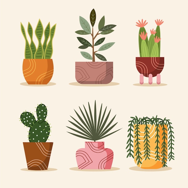 Vecteur gratuit collection de plantes d'intérieur plates