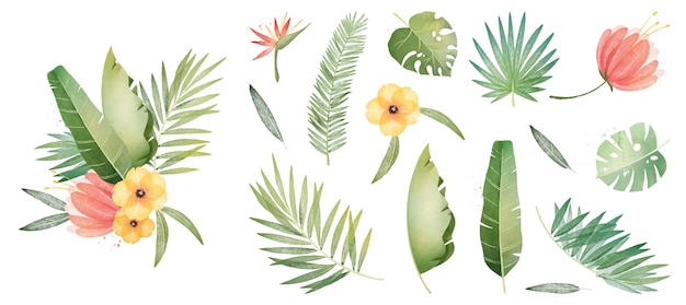 Collection De Plantes Tropicales Et De Feuilles