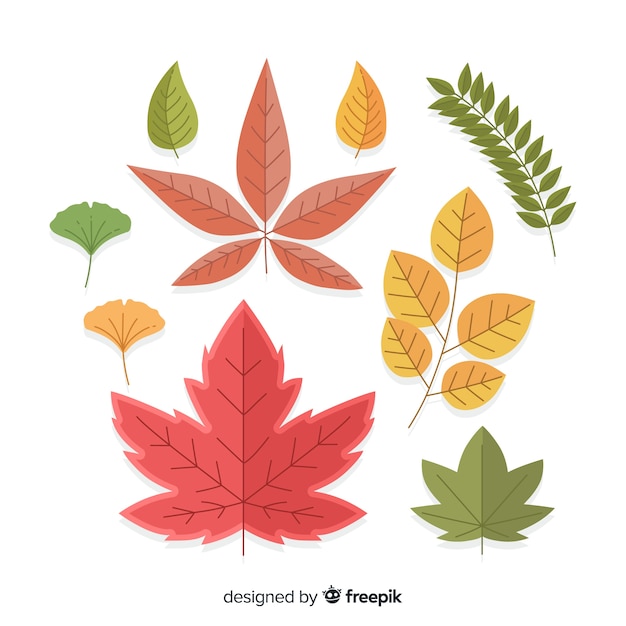 Collection plate de feuilles d&#39;automne