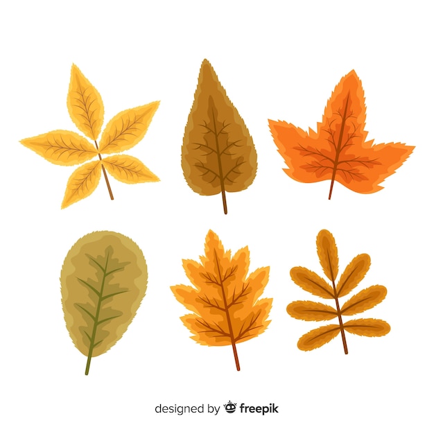 Collection plate de feuilles d'automne