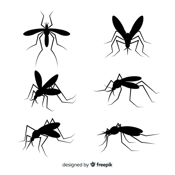 Vecteur gratuit collection plate de silhouettes de moustiques