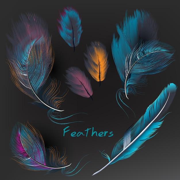 Collection de plumes multicolores