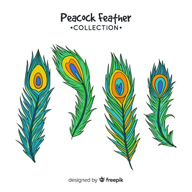 Collection De Plumes De Paon Dessinées à La Main Moderne