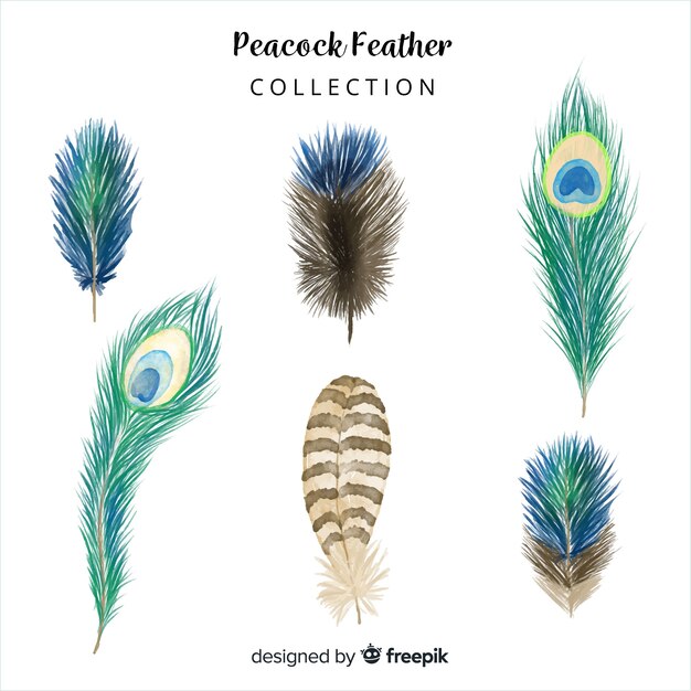 Collection de plumes de paon dessinés à la main moderne