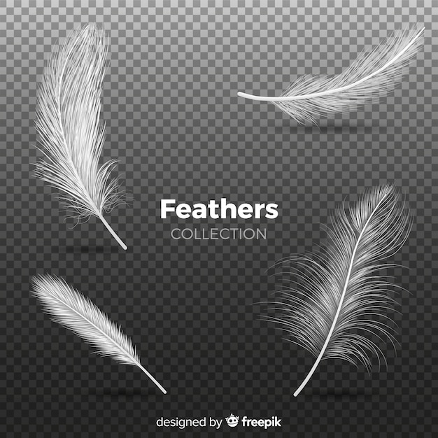 Vecteur gratuit collection de plumes réalistes