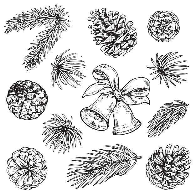 Pomme De Pin Peint Par Vecteur Aquarelle Vecteur Gratuite