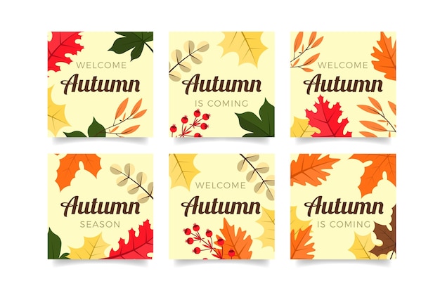 Vecteur gratuit collection de publications instagram d'automne plat