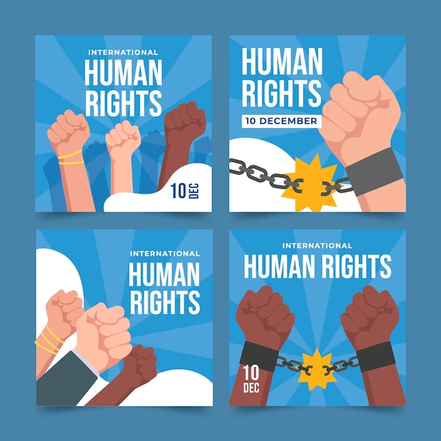 Vecteur gratuit collection de publications instagram à plat pour la journée internationale des droits de l'homme dessinée à la main