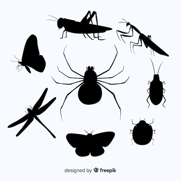 Collection de silhouette d&#39;insecte plat