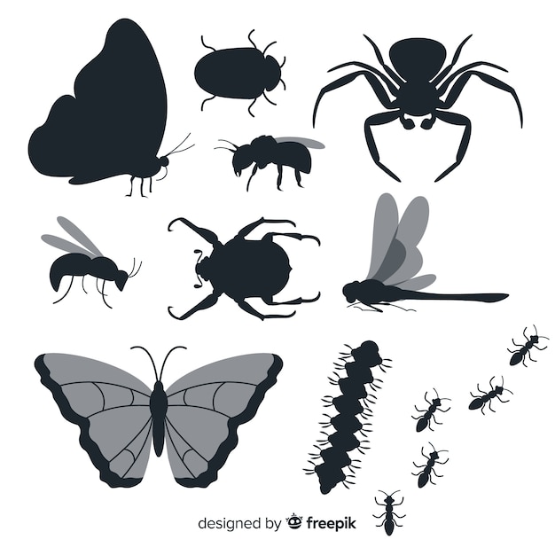 Vecteur gratuit collection de silhouette d'insecte plat