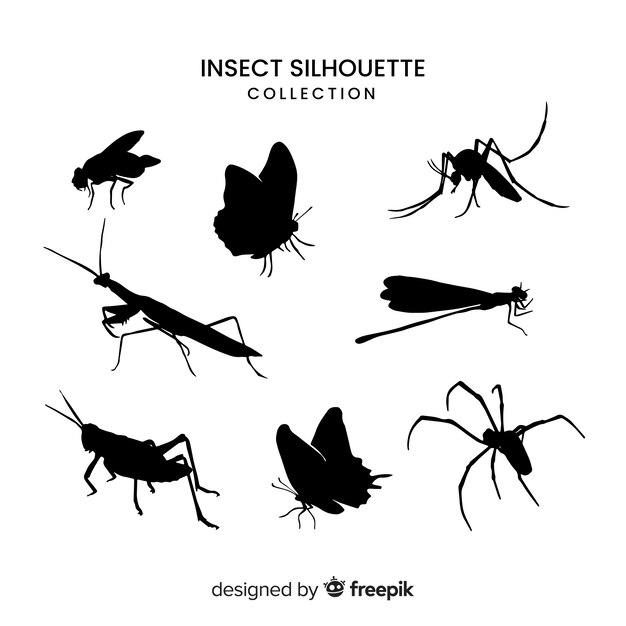 Collection de silhouette d&#39;insecte réaliste
