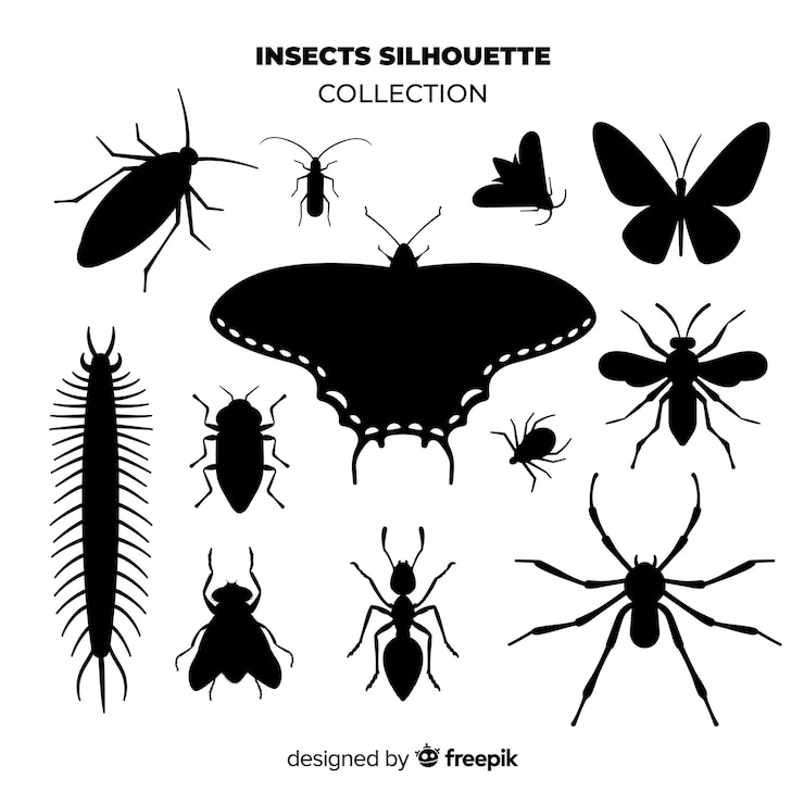 Vecteur gratuit collection de silhouette d&#39;insecte
