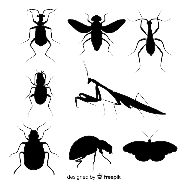 Vecteur gratuit collection de silhouette d'insecte