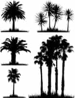 Vecteur gratuit une collection de silhouettes d'arbres tropicaux