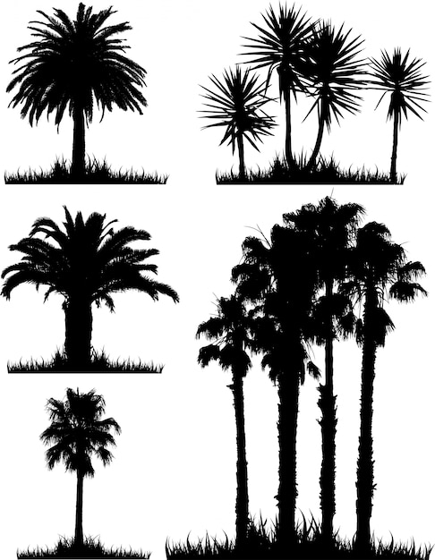 Une collection de silhouettes d&#39;arbres tropicaux