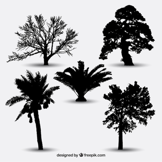 Collection de silhouettes d&#39;arbres
