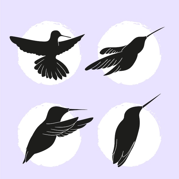 Collection de silhouettes de colibris plats