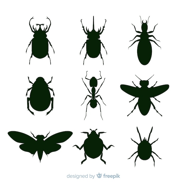 Collection De Silhouettes D'insectes Noirs