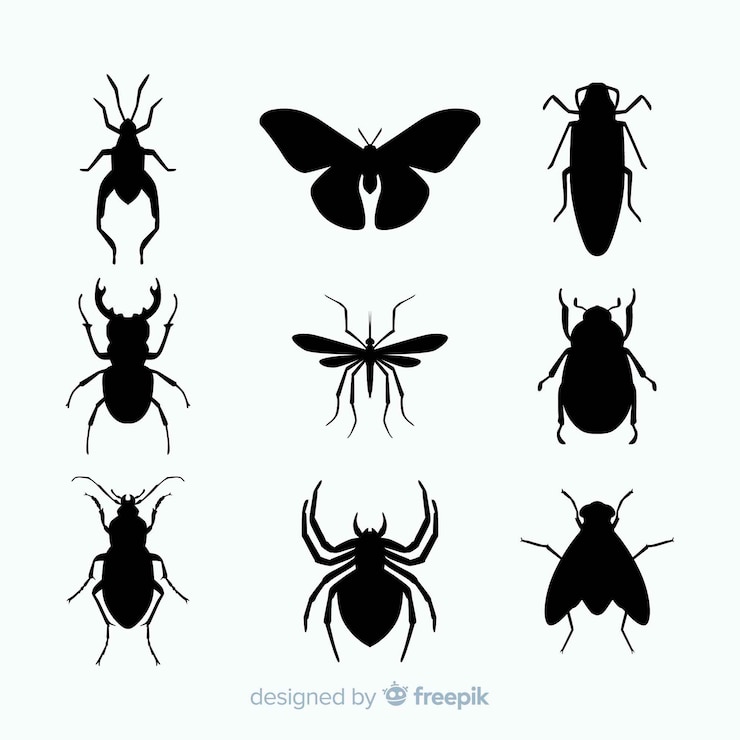 Vecteur gratuit collection de silhouettes d&#39;insectes plats