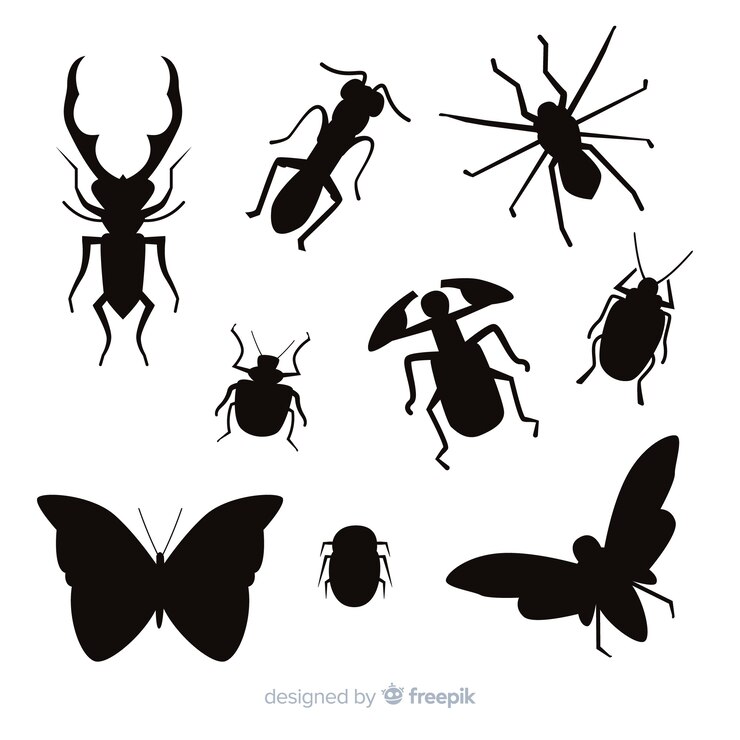 Vecteur gratuit collection de silhouettes d&#39;insectes plats