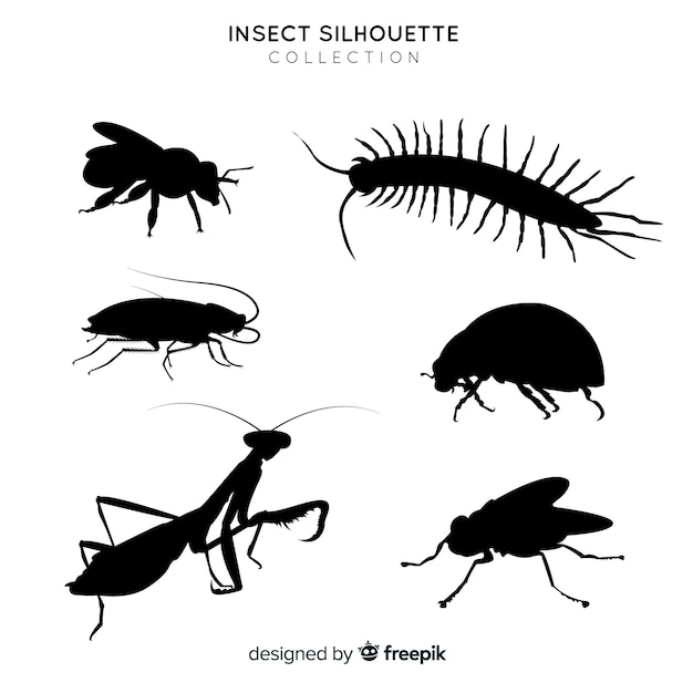 Vecteur gratuit collection de silhouettes d'insectes plats