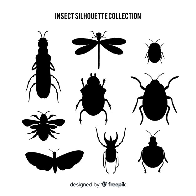 Collection de silhouettes d&#39;insectes plats