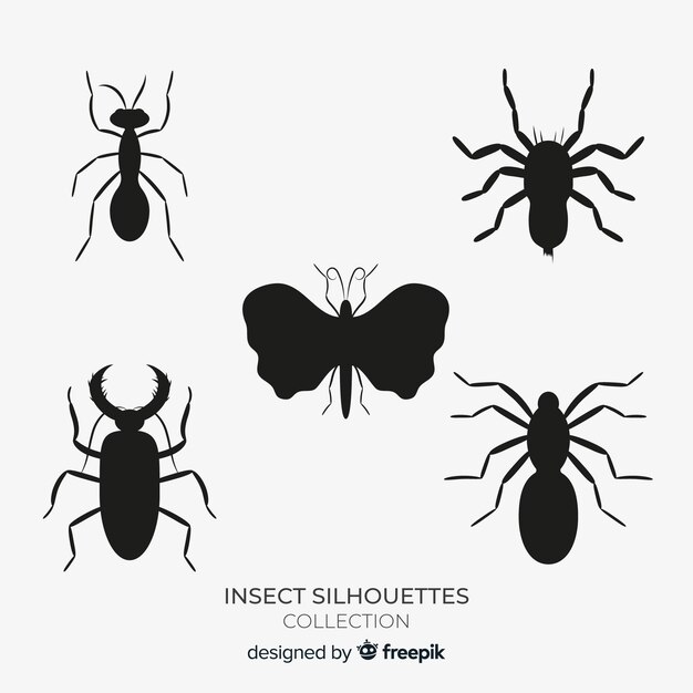 Collection de silhouettes d&#39;insectes plats