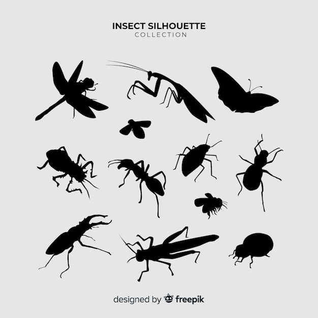 Collection de silhouettes d&#39;insectes plats