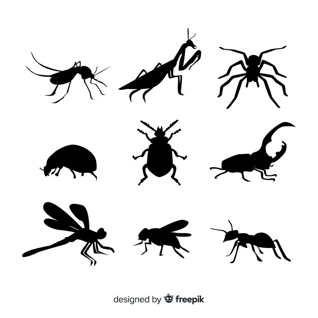 Collection de silhouettes d&#39;insectes plats