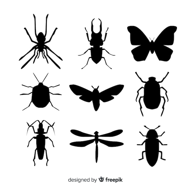 Collection de silhouettes d'insectes plats