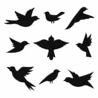 Vecteur gratuit collection silhouettes oiseaux