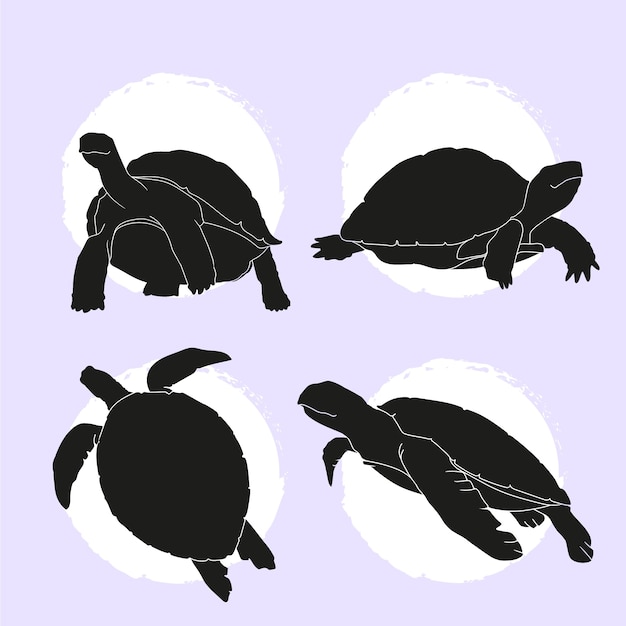 Collection de silhouettes de tortues plates