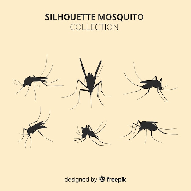 Collection De Six Silhouettes De Moustiques