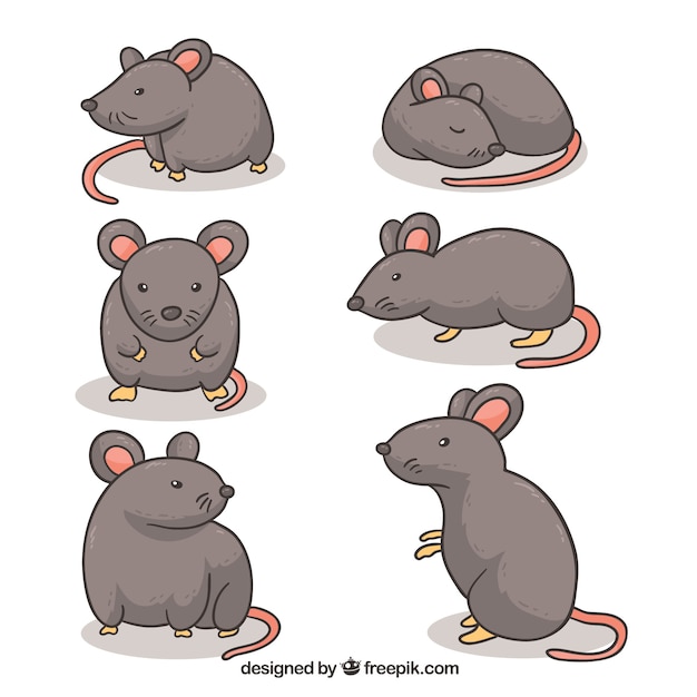 Vecteur gratuit collection de souris de dessin animé