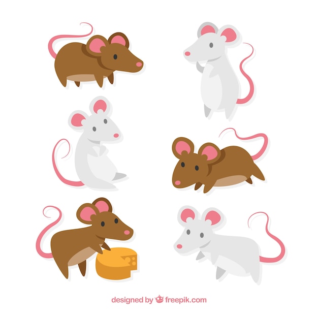 Vecteur gratuit collection de souris dessinés à la main