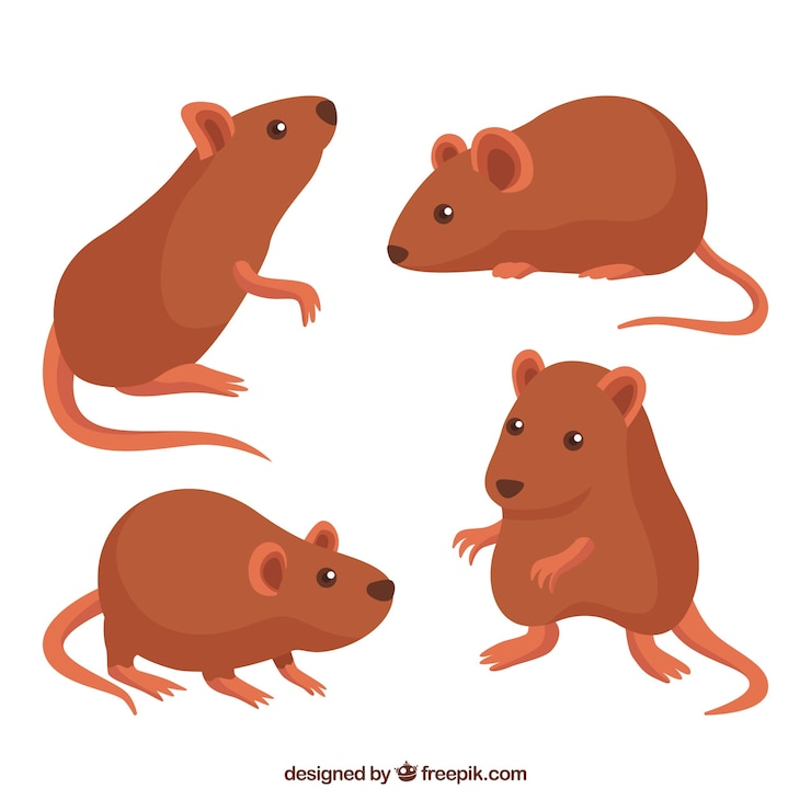 Vecteur gratuit collection de souris plat avec des poses différentes