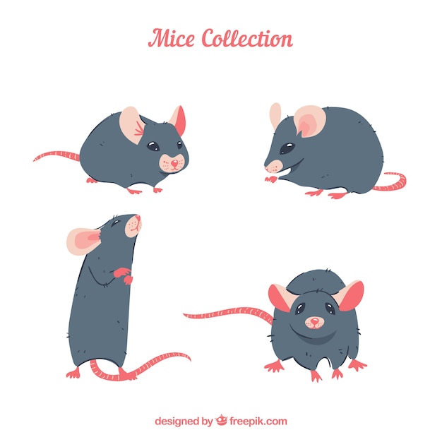 Vecteur gratuit collection de souris plates